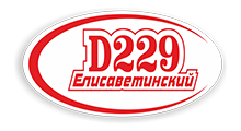 ЕЛИСАВЕТИНСКИЙ